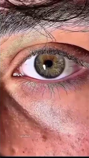 #viral #funny #viral