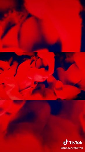 In My Blood 🩸 #thescore #thescoremusic #thescoreband #music #album #concert #unstoppable #legend