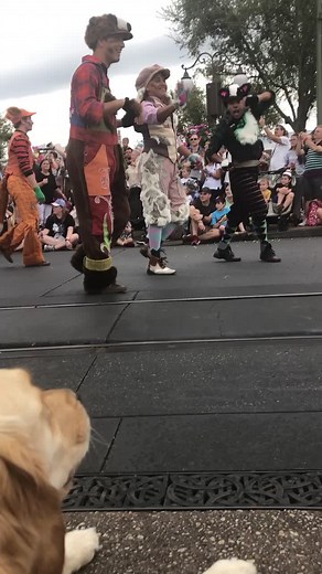 Magical Reunion at Disney World with a Golden Retriever Service Dog