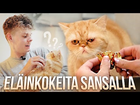 Tehdään eläinkokeita Sansalla!