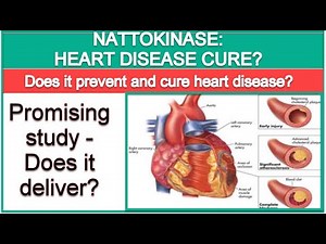 Nattokinase: The Cure to Heart Disease?