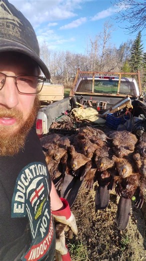Spring Beaver Trapping!