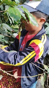 Los #sueños que todo ser humano que le gusta el #campo quiere cumplir. | Luis Eduardo Paladines Ortiz