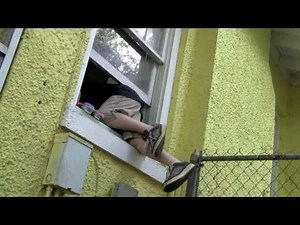 Cupcake Cannibal - SAFA Film Scramble Entry