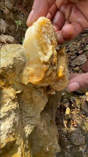 gold prospecting for beginner ✅🧽
