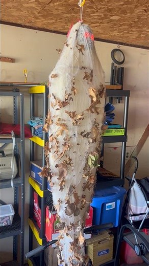 Cocoon hanging spider animatronic ￼