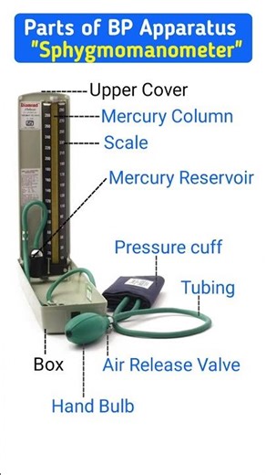Parts of BP Apparatus Explained 🩺 | Sphygmomanometer Tutorial #BPApparatus #shorts #Sphygmomanometer