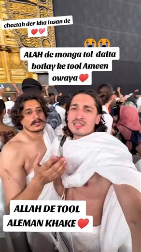 Real cheetah 804 (@cheetah4594)’s videos with original sound - abubakarkhan_125