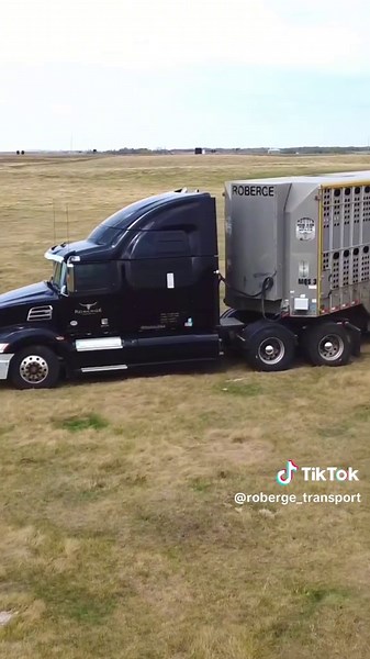 Expert Livestock Transportation Services for Ranchers