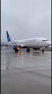 Bird Strike Shatters Cockpit Calm. | Mony Reach