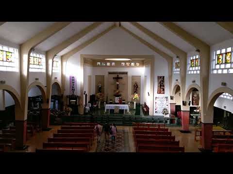 Domingo de Ramos, en la Pasión del Señor. Misa Gregoriana.