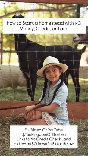 How to Start a Homestead with NO Money, Credit or Land