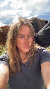 86K views · 1.8K reactions | fienly on Reels | Facebook