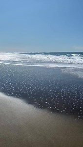 14K views · 488 reactions | Here’s a little virtual walk on the beach to get you through the week! ￼ | Chinook Winds Casino Resort | Facebook