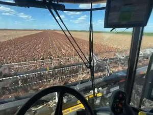 CabView….Raccolta Sorgo da Granella con MacDon FD261 🇦🇺…Da @Lance Wise #NewsAgricoltura | NewsAgricoltura