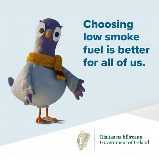 Laois County Council on Reels