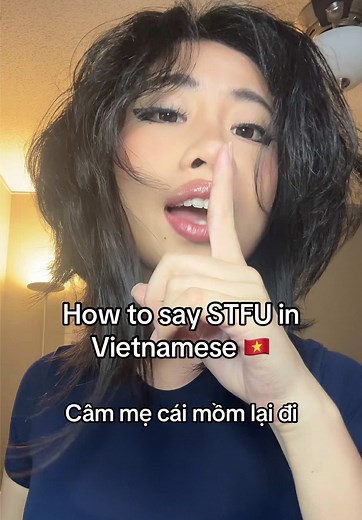 Learn Vietnamese: Say 'STFU' in Vietnamese