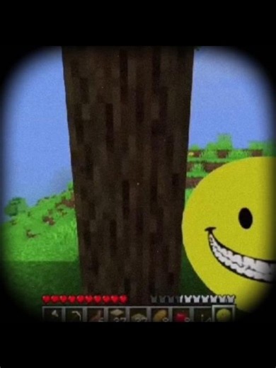 "Hellooo i am Verty" Verty edit #Verty#minecraft