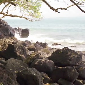 🌊🌴Descubre las playas secretas de Nayarit: tu próximo paraíso te espera. | Riviera Nayarit
