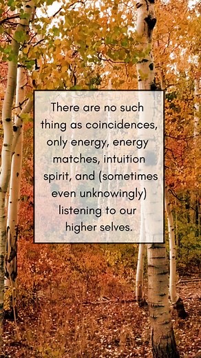 You are receiving signs from spirit every single day. You just aren’t NOTICING all of them. You aren't connecting the dots. OR you are dismissing some of the signs from spirit as coincidence. Signs from spirit come down to trust. The more you learn to trust your loved ones in spirit, the more you will receive. ONCE YOU TRUST A SIGN FROM A LOVED ONE IN HEAVEN ONE TIME, YOU WILL BEGIN TO RECEIVE THAT SIGN FROM SPIRIT AGAIN AND AGAIN. So does your intuition. It's the same thing: TRUST. There are no