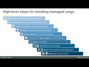 Handling damaged cargo: A step-by-step overview of cargo inspection & freight claims