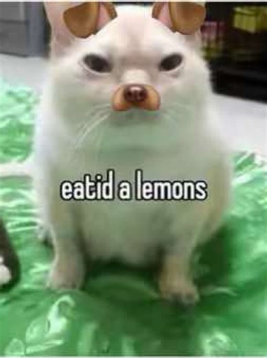 Team Sean Casey: Storm Chasers in Action