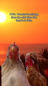 Because nothing says disco disco like dancing to Baby Shark with a piña colada in hand 🐬😂 #parentsonholiday #hols #minidisco #thomascook | Thomas Cook