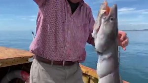 Father & Son time! Graeme & Mike out there right now getting in amongst them fish 🤘🏻🎣 | Totally Awesome Fishing