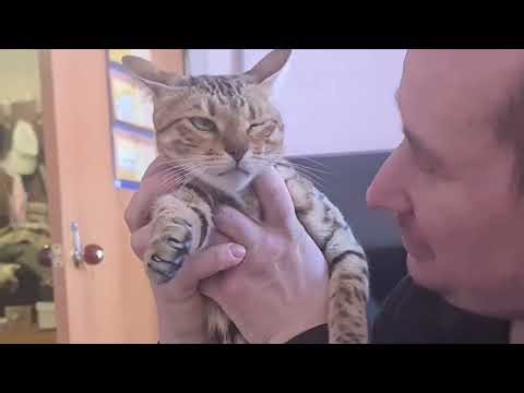 "Атакующие Лидеры" пишут доносы а мы идём к своей цели. 