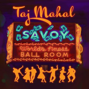 Albums Of The Week: Taj Mahal | Savoy - Tinnitist