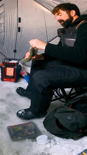 Did Joe deserve the chirping? #fishfrostbite #icefishing #walleyefishing #lakewinnipeg | Fish Frostbite