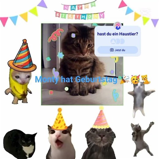 Monty ist jetzt schon fünf Jahre alt🥰🎉🥳❤️