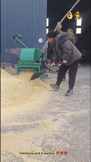 Craziest tree crushing : Wood chipper crushing machine