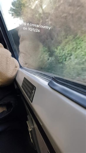 best trip ever#railway #Trainlovers #trainspotting