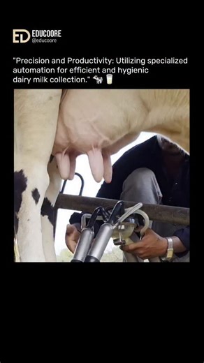 Edu Coore | The Milking Machine is an agricultural device used to extract milk from the udders of cows, buffaloes, or other dairy animals. This... | Instagram
