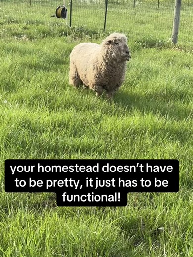 Building a Functional Homestead for Your Needs