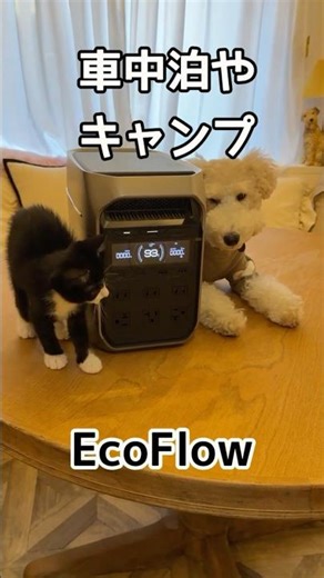 EcoFlowブラックフライデーセール中だよ#PR