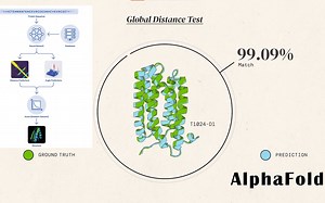 AlphaFold AI破解蛋白质折叠