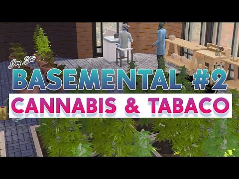 #2 CANNABIS & TOBACCO - BASEMENTAL DRUGS MOD TUTORIAL | THE SIMS 4