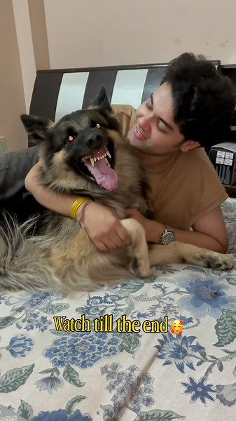 My dog attacked on me 😭😱| German Shepherd videos | The Two Faces of a German Shepherd #gsdlover
