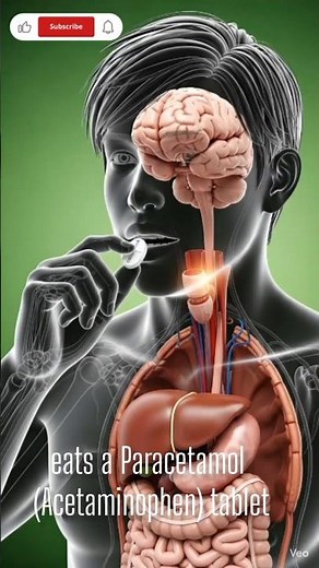 What REALLY Happens in Your Body When You Take Paracetamol 💊 (3D Animation#Paracetamol #PainRelief