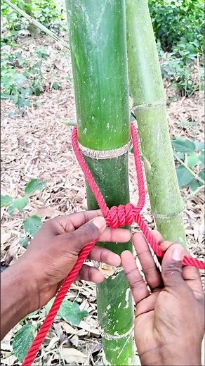 Simple Rope tension system That Everyone Need!#knottingknottying