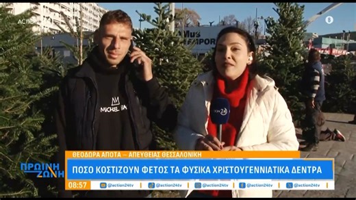 Πόσο κοστίζουν φέτος τα φυσικά χριστουγεννιάτικα δέντρα