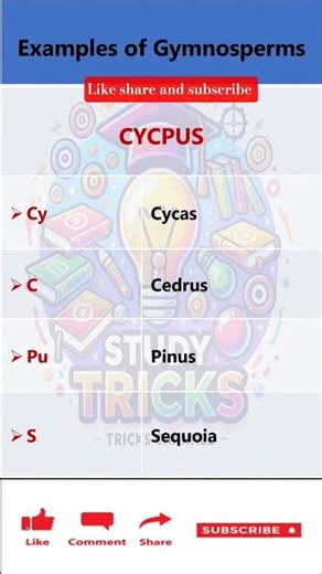 Examples of Gymnosperms । Taxonomy | Kingdom Plantae | Science | Biology ✅🔥 #gk #ytshorts #shorts