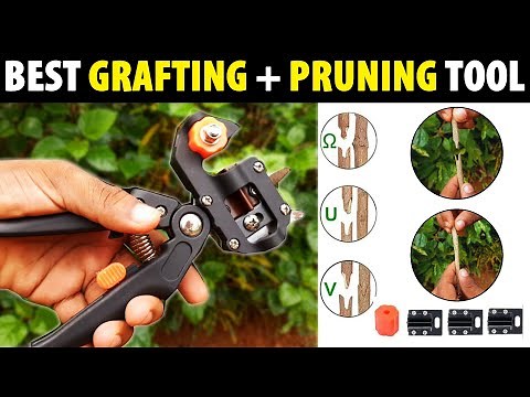 Professional Grafting and Pruning Tool | Amazing and Useful Garden Tool