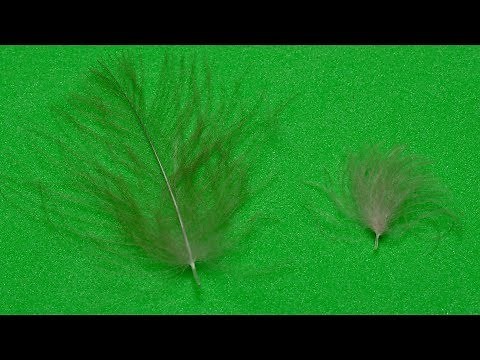 Selecting CDC Part 1