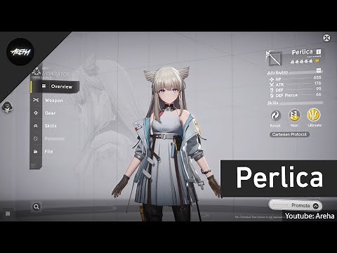 Perlica Gameplay | Arknights Endfield Technical Test Gameplay