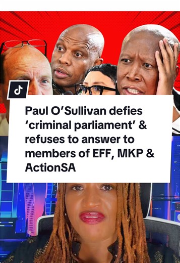 Paul O'Sullivan Defies EFF and MKP in Parliament Debate