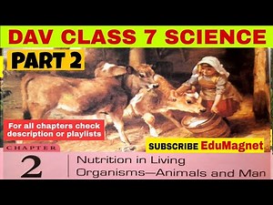 DAV CLASS 7 SCIENCE CHAPTER 2 NUTRITION IN LIVING ORGANISMS-ANIMALS AND MAN | EXPLANATION PART 2
