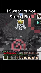 I Swear im not stupid bro #minecraft #gaming #funny #entertainment #memes